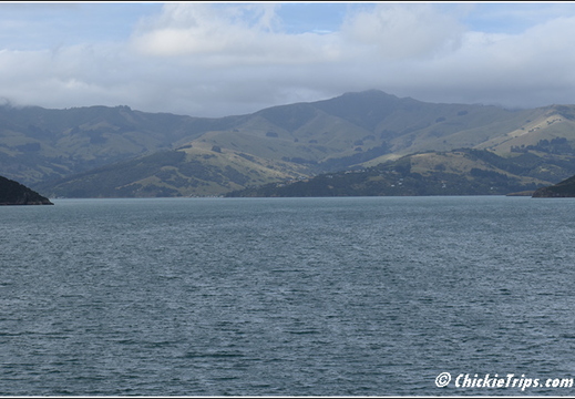 Day 06 - At Sea - Dec 25 016