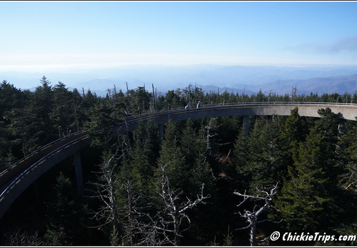 Tennessee - Clingmans Dome Great Smoky Mountains National Park 142